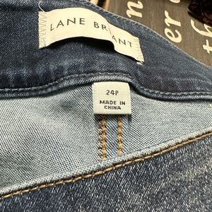 Lane Bryant 24 petite jeggins